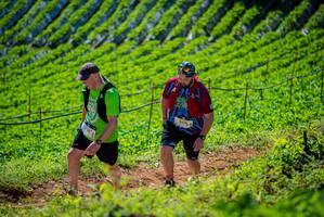 BIB: 
                            <button type="button" onclick="openModal(19163082)" class="btn btn-primary btn-sm float-right btn-popup" data-toggle="modal" data-target=".modal-high-quality">
                        <i class="fas fa-shopping-cart"></i> Add to Cart
                    </button>
                                            <button type="button" onclick="isThisMe(19163082, true)" class="btn btn-success btn-sm float-right btn-popup btn-isme hidden" data-toggle="tooltip" data-placement="bottom" title="นี่คือรูปของคุณใช่ไหม คลิกที่นี่เพื่อเอาเข้าอัลบั้ม">
                        <i class="fas fa-plus"></i> Add to album
                    </button>
                    <button type="button" onclick="isThisMe(19163082, false)" class="btn btn-warning btn-sm float-right btn-popup btn-isnotme hidden">
                        <i class="fas fa-ban"></i> Remove from album
                    </button>